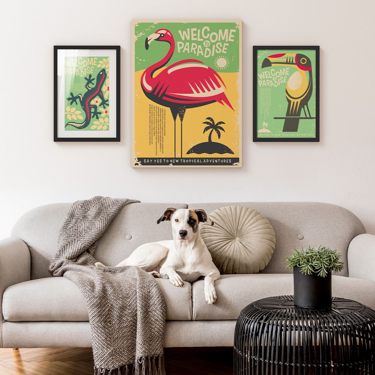 Three tropical canvases — a lizard, a flamingo and a toucan — above a sofa where a Jack Russell lies on a grey throw.
